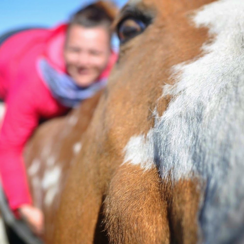 Meet your Posher, Anja
